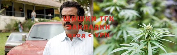 гидра Алексин