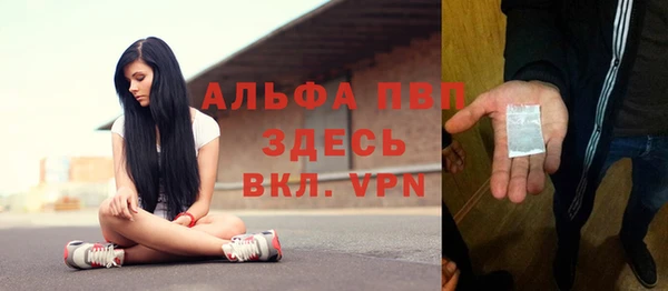 винт Алзамай