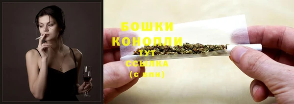 гидра Касимов