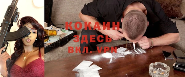 винт Алзамай