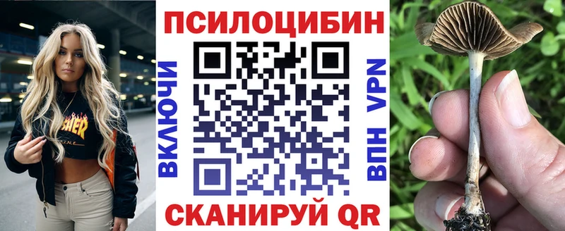 Псилоцибиновые грибы Cubensis  даркнет сайт  Сыктывкар 